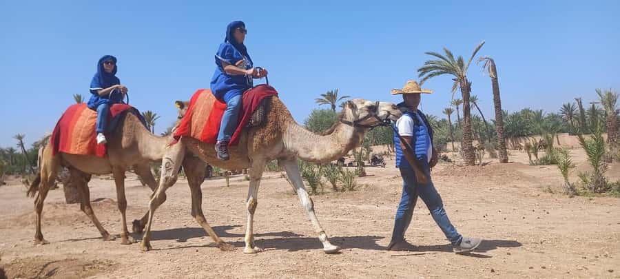 From Marrakech: Camel ride in the oasis palmeraie Grove - Camel Ride Through Palmeraie Groves, What the 1-Hour Feels Like