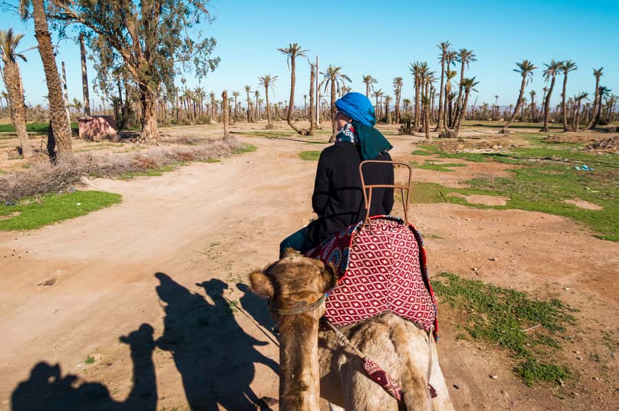 From Marrakech: Camel Ride, Quad Bike & Spa Full-Day Trip - Key Highlights You Will Feel in Real Life