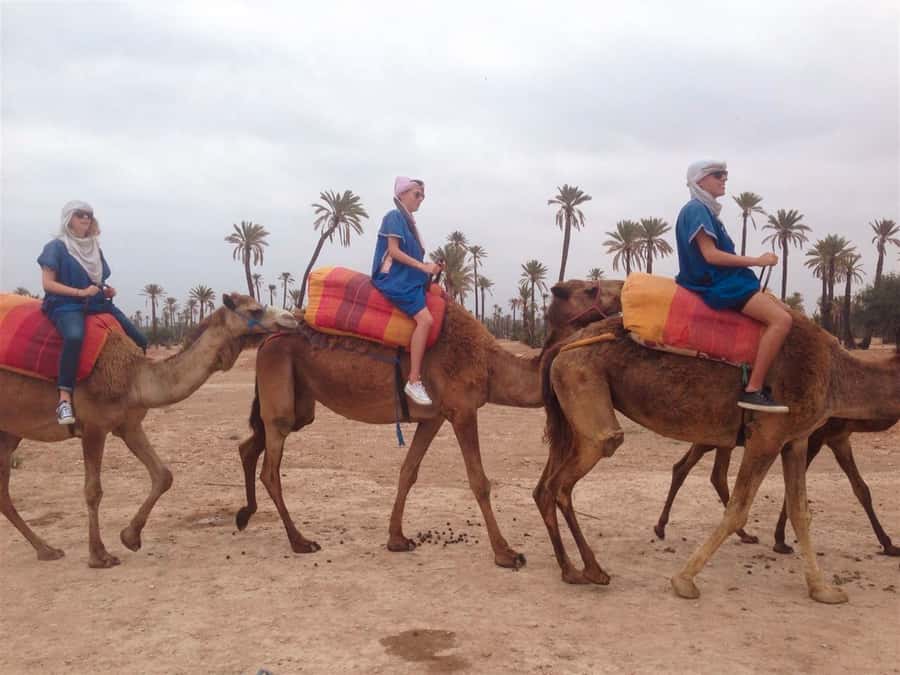 From Marrakech: Camel Ride, Quad Bike & Spa Full-Day Trip - Camel Ride Through the Palmeraie: The Gentle Side of Adventure