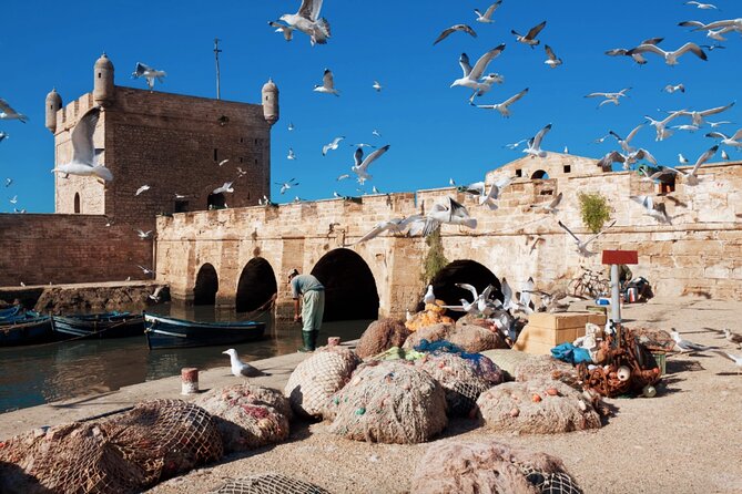 From Marrakech: Day Journey to Essaouira Mogador - The argan stop: photos, tasting, and a real local mission