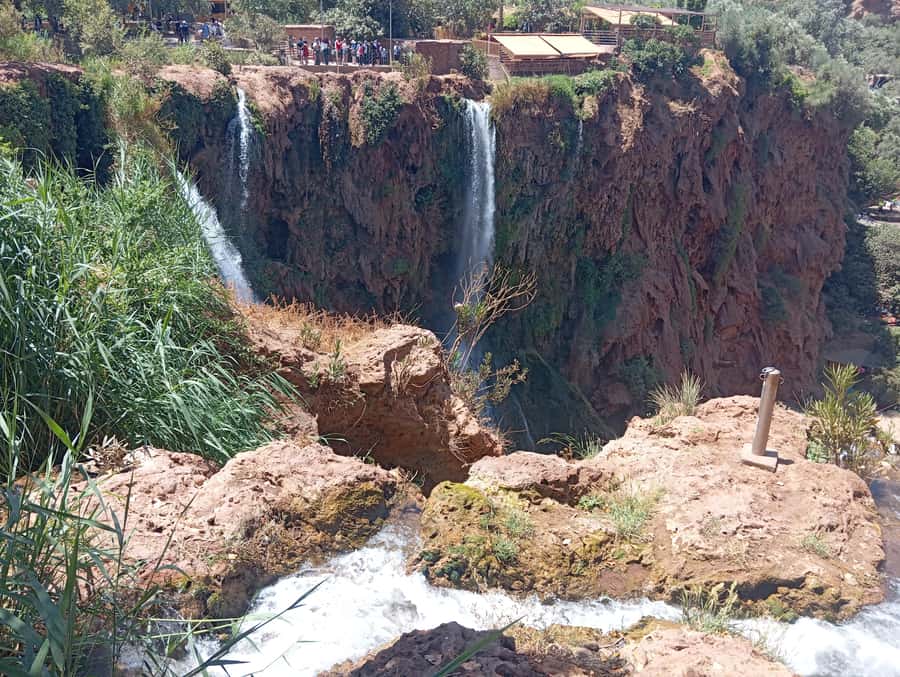 From Marrakech: Day Tour to Ouzoud Waterfalls - Monkeys and safety rules that keep your photos fun