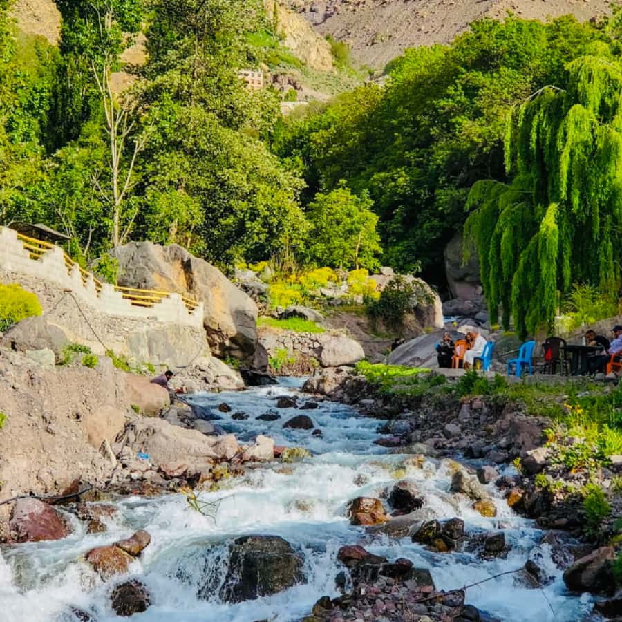 From Marrakech: Day Trip to Anima Garden and Imlil Valley - Key highlights that make this day trip worth your time