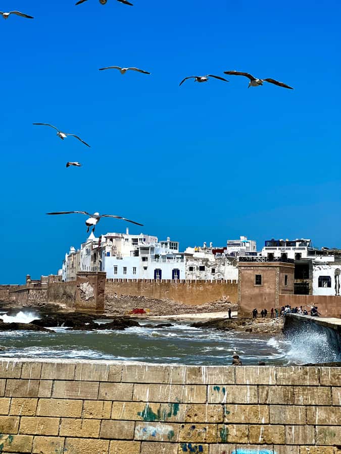 From Marrakech: Day Trip to Essaouira with Transfers - Key highlights I’d plan around