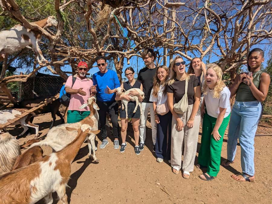 From Marrakech: Day Trip to Essaouira with Transfers - Price and value: why $15 can feel surprisingly fair