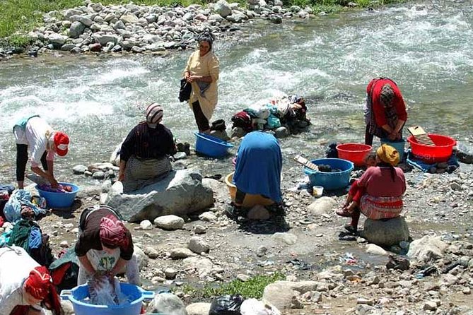 From marrakech: Day Trip to Ourika Valley And Berber Villages - Berber House Visit: Daily Life, Water Mill, and Real Tea