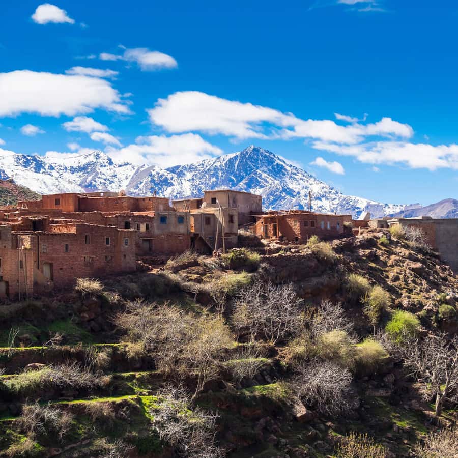 From Marrakech: Day Trip to Ourika Valley with Waterfalls - Riverside Moroccan lunch: comfort food with good value timing