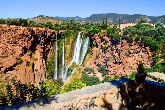 From Marrakech: Day Trip to Ouzoud Waterfalls Guided & Boat Ride - Logistics that affect your comfort (and your photos)
