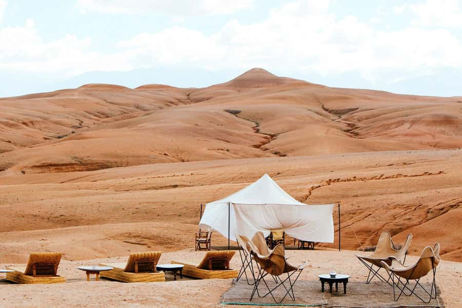 From Marrakech: Dinner show in Agafay Desert & Sunset Quad - Argan oil factory stop and tea break: what you get for the time