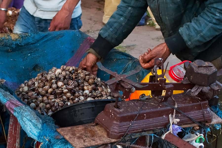 From Marrakech: Essaouira & Atlantic Coast Full-Day Trip - The Skala du Port and ramparts: the best reason to stretch your legs
