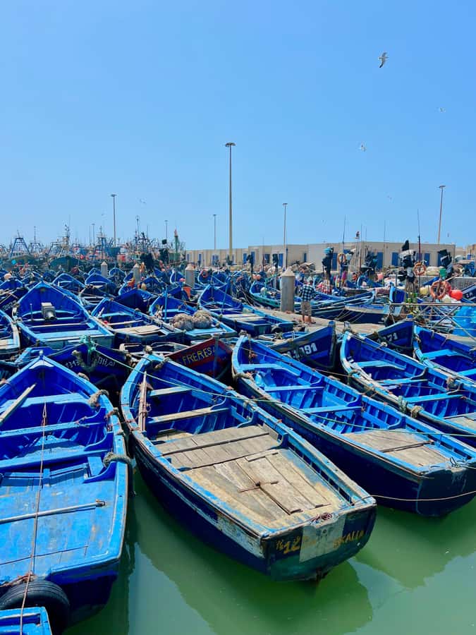 From Marrakech: Essaouira Coastal City Day Trip - Four Hours Of Free Time: How To Spend It Smart
