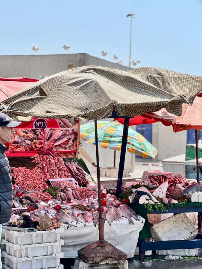 From Marrakech: Essaouira Coastal City Day Trip - Price And Value: Why This Trip Sells For $10