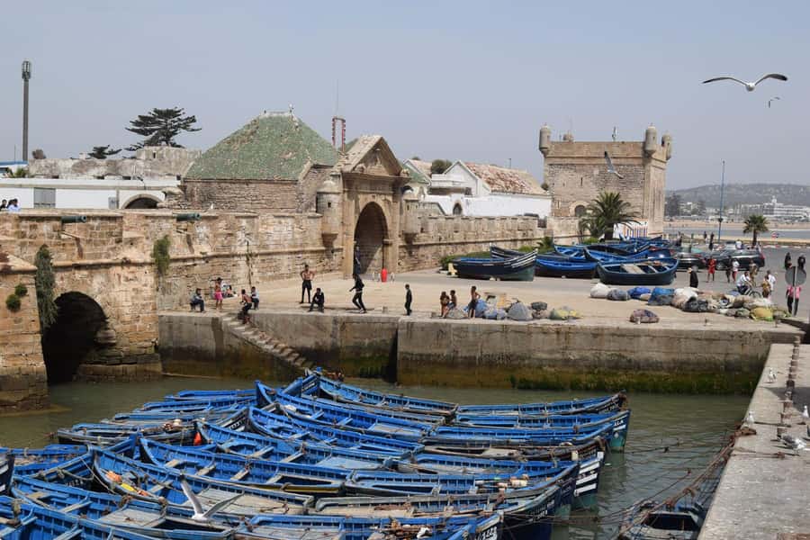 From Marrakech: Essaouira Coastal Escape with Lunch - Lunch near the harbor and beach time with room to choose