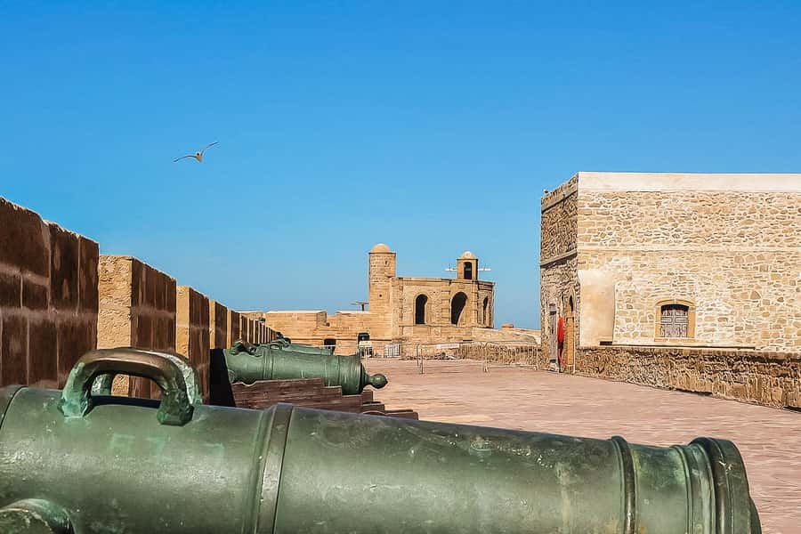 From Marrakech: Essaouira Day Tour with Optional Activities - Essaouira Arrival: Port Views, Ocher Walls, and Your Own Walk
