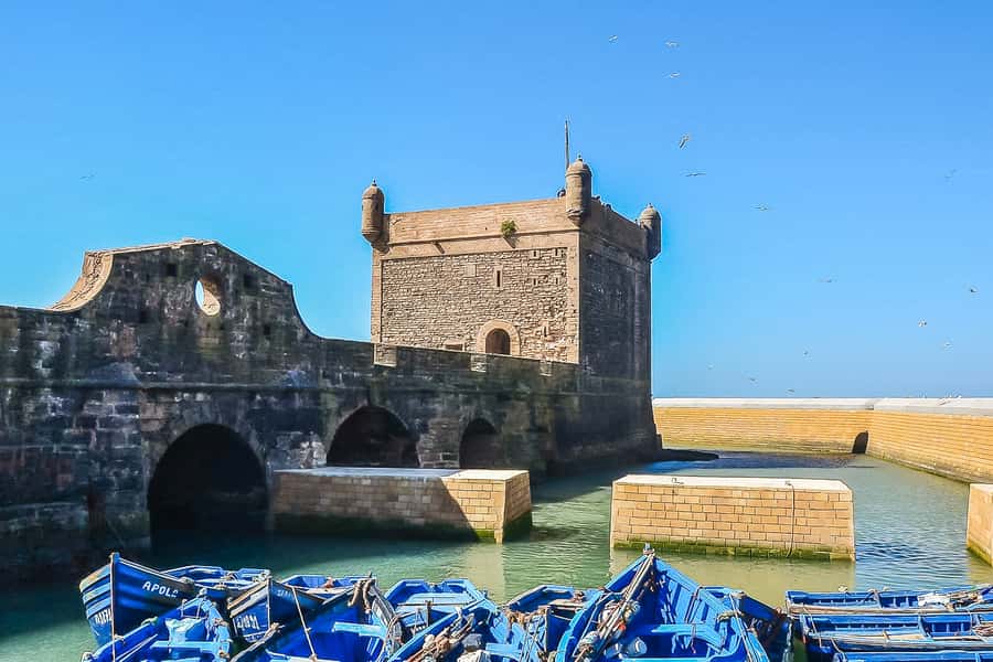 From Marrakech: Essaouira Day Tour with Optional Activities - Lunch by the Port: Fish, Seafood, and How to Avoid Overpaying