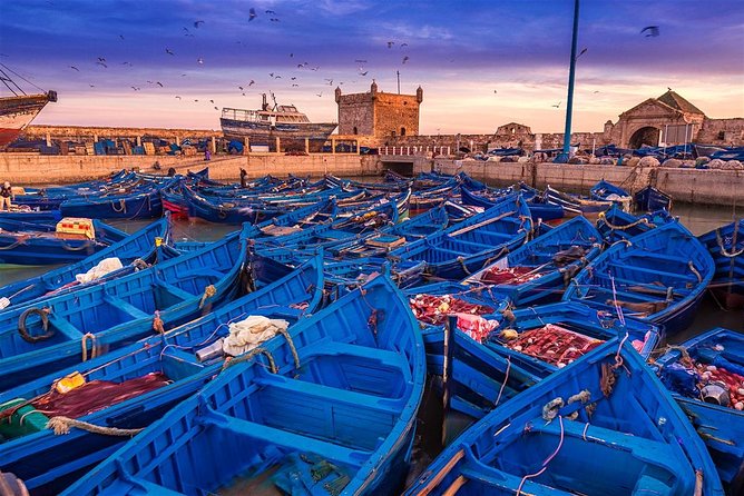 From Marrakech: Essaouira Day Trip - The Essaouira fishing port and fish market: see the town in motion