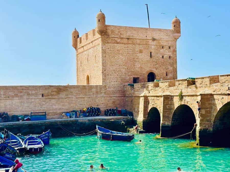 From Marrakech: Essaouira Day Trip with Beach Activities - Key things that make this trip worth your time