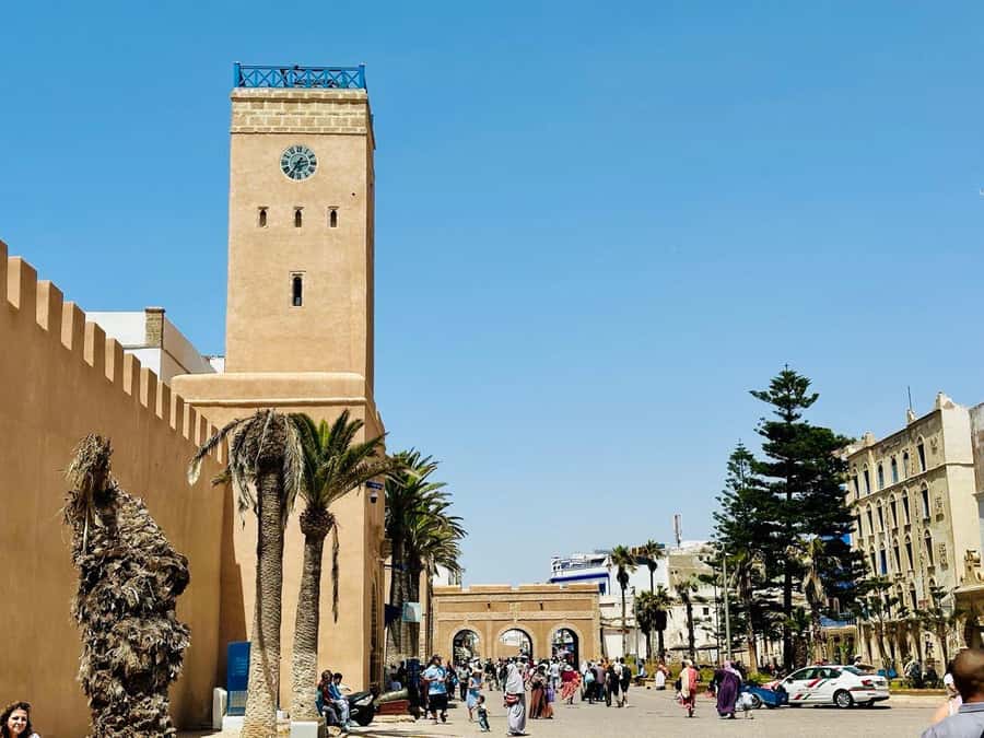 From Marrakech: Essaouira day Trip with camel, horse & quad - A day that flips Marrakech’s pace