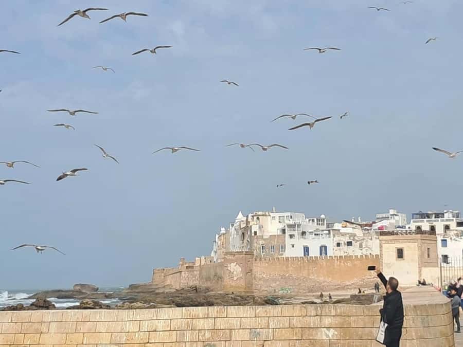 From Marrakech: Essaouira day Trip with camel, horse & quad - Argan oil at the women’s cooperative: what to watch for