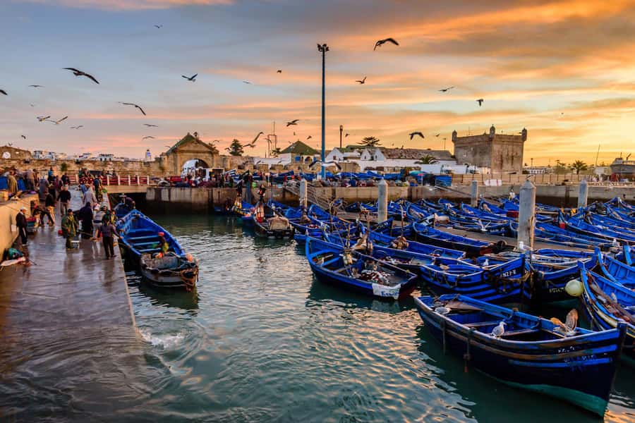From Marrakech: Essaouira Day Trip with Hotel Pickup - Fishing port energy and cedarwood-inlay craft
