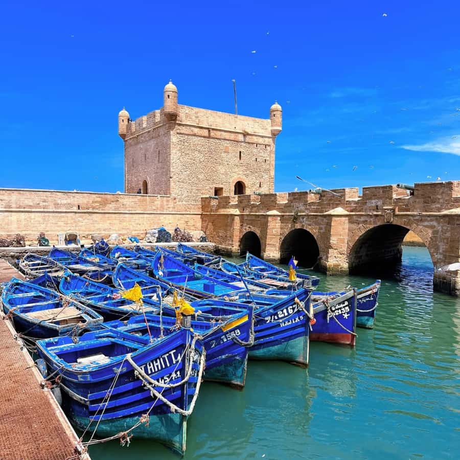 From Marrakech: Essaouira Full day trip, beach and History - The argan oil cooperative stop you will actually remember