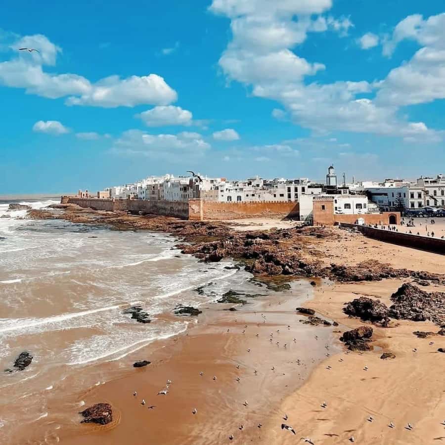 From Marrakech: Essaouira Full day trip, beach and History - UNESCO medina wandering: craft lanes, small pauses, and good snacks