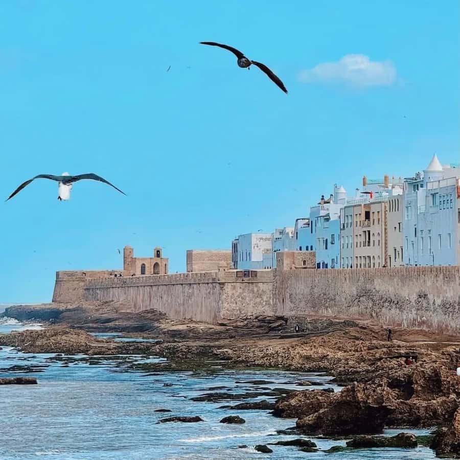 From Marrakech: Essaouira Full day trip, beach and History - Fishing port and ramparts with Atlantic views