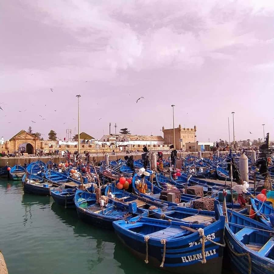 From Marrakech: Essaouira Full day trip, beach and History - Price and logistics: is $16 good value?