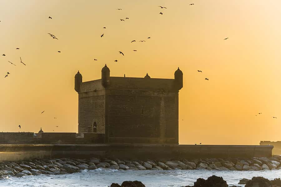 From Marrakech: Essaouira Full-Day Trip with Activities - Important Detour Check: Your Day Schedule May Include Ouzoud Waterfalls