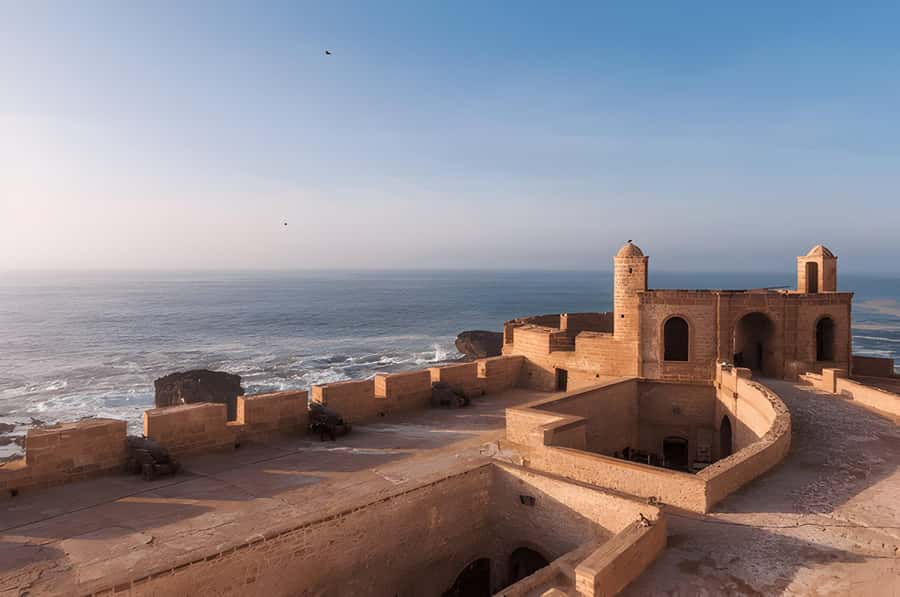 From Marrakech: Essaouira Full-Day Trip with Activities - The Argan Oil Cooperative Stop: What You’ll Learn and Why It Matters