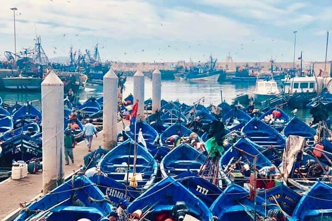 From Marrakech: Essaouira Full-Day Trip - Entering the Old Medina: Narrow Streets and Mixed Architecture