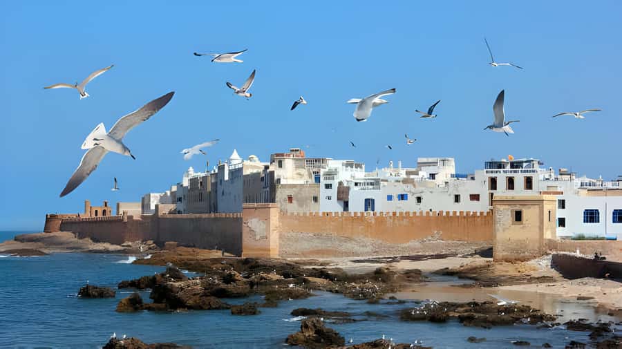 From Marrakech: Essaouira Private Full-Day Trip - Why Essaouira Works So Well in One Full Day