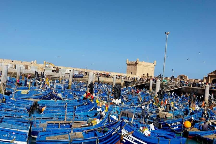 From Marrakech: Essaouira Private Full-Day Trip - Chichaoua Coffee Break at Cafe Afoulki