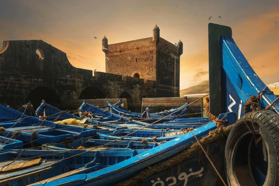 From Marrakech: Essaouira Private Full-Day Trip - Fresh Seafood and Lunch Time Without the Guesswork