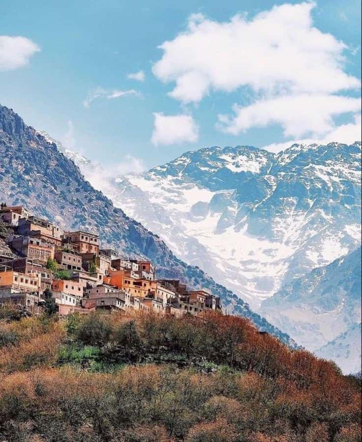 From Marrakech: Full-Day in the Atlas Mountains with Lunch - Key highlights worth knowing
