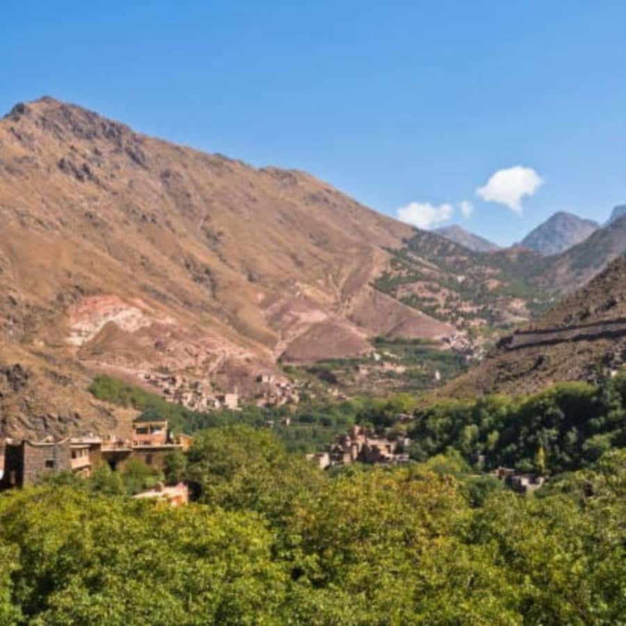 From Marrakech: Full-Day in the Atlas Mountains with Lunch - Price and value: why $18 per person can feel like a lot or a steal