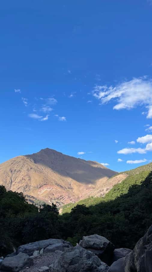 From Marrakech: Full-Day in the Atlas Mountains with Lunch - Lunch in a Berber home, where the view meets the food