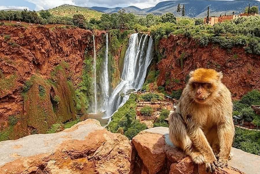 From Marrakech: Guided Ouzoud Waterfalls Tour with Boat Ride - Ouzoud Waterfalls from Marrakech: why this is the one day trip worth the early start