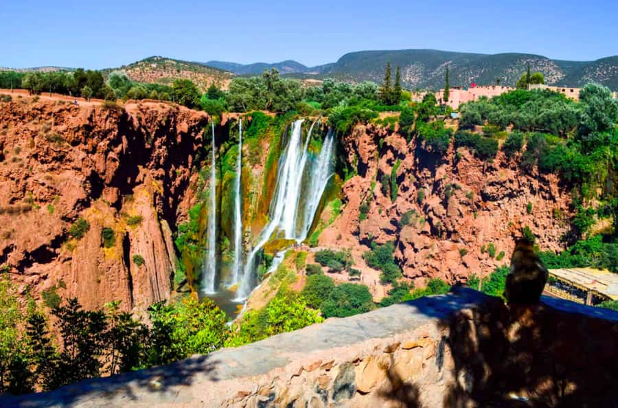 From Marrakech: Guided Ouzoud Waterfalls Tour with Boat Ride - Return trip rhythm: second coffee stop and easy drop-off