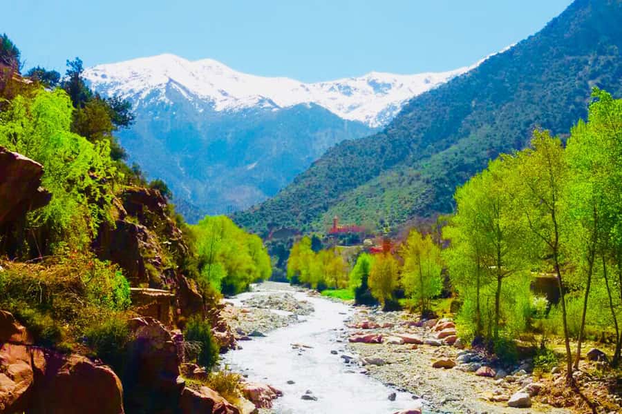 From Marrakech: Half-Day Tour to Atlas Mountains & Ourika - Key things that make this Ourika tour worth your time
