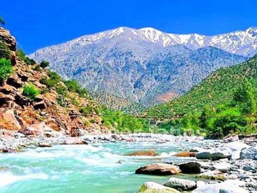 From Marrakech: Half-Day Tour to Atlas Mountains & Ourika - Price and Value, Why It Works for the Money