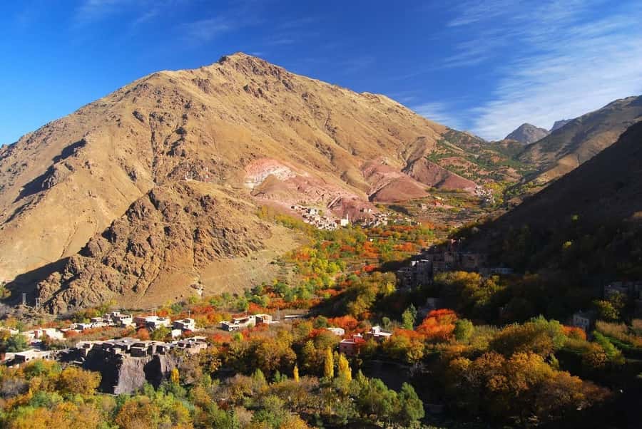 From Marrakech: High Atlas Berber Cooking Class - Tagine, sides, and dessert: eating where the views do the talking