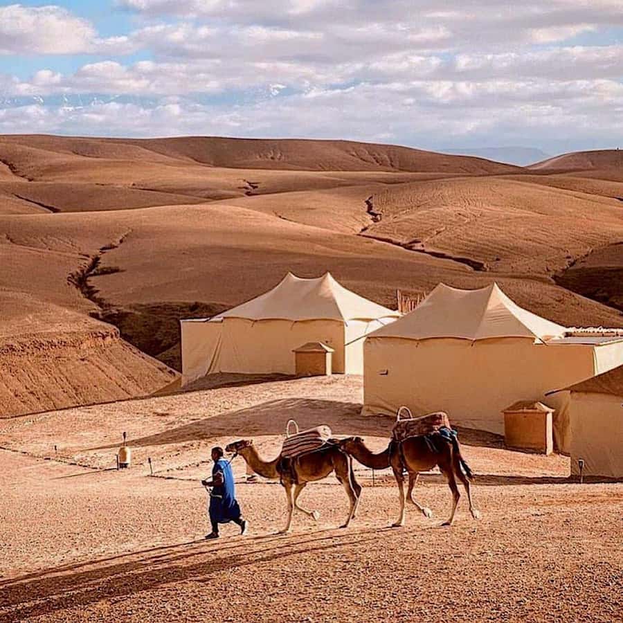 From Marrakech: High Atlas Mountains and 4 Valleys Day Trip - Key highlights worth waking up for