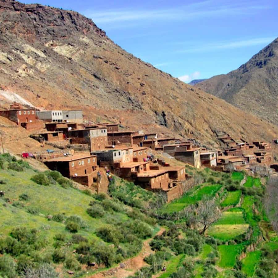 From Marrakech: High Atlas Mountains and 4 Valleys Day Trip - Berber life and argan oil: why this co-op visit feels real