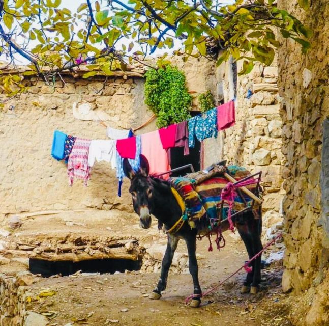 From Marrakech: Imlil Village and Kik Plateau Day Trip - Optional Tagadirt Moroccan Meal: Good If You Want the Full Family Moment
