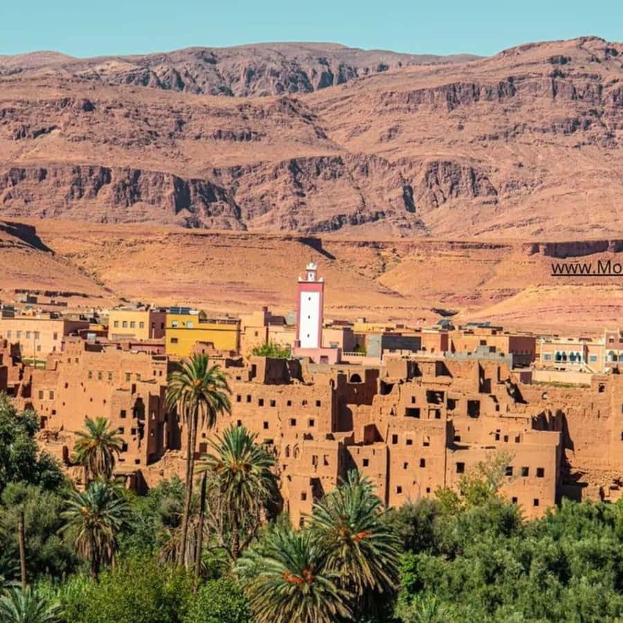 From Marrakech: Ouarzazate & Ait Benhaddou Guided Day Trip - Key points worth knowing before you go