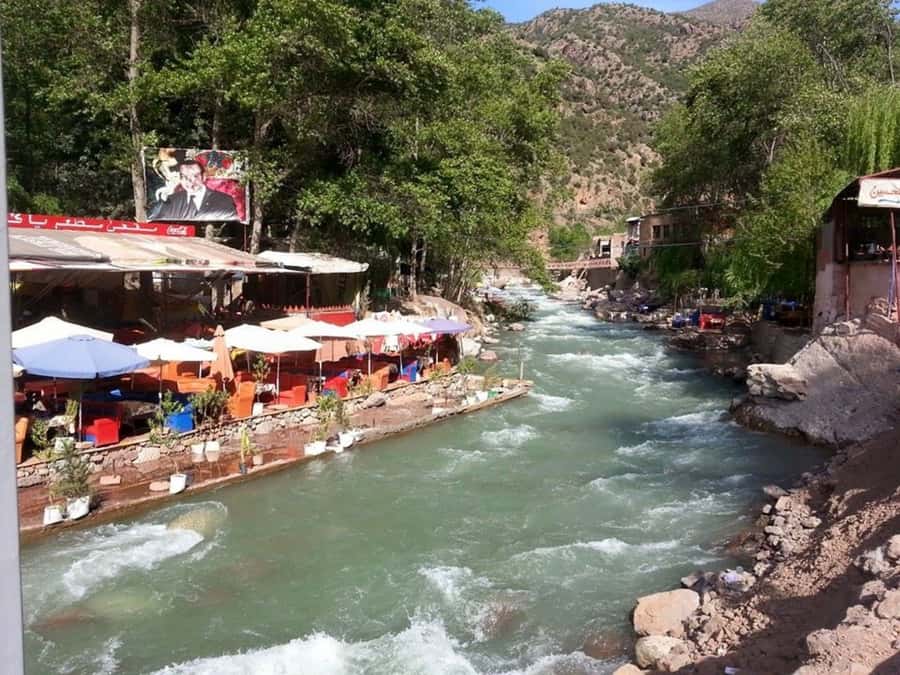 From Marrakech: Ourika Valley & Atlas Mountains Waterfalls - Argan oil with Berber women: what you learn and what you can buy
