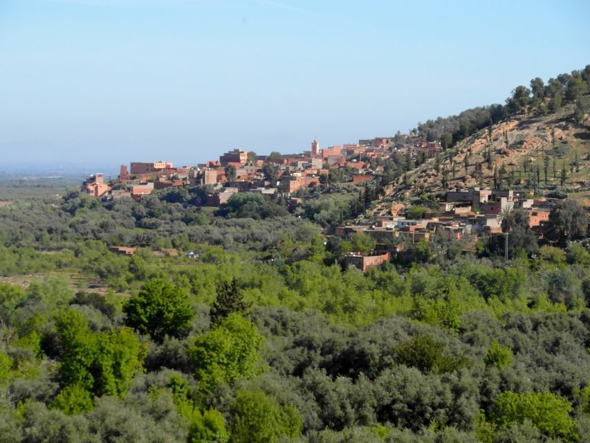 From Marrakech: Ourika Valley & Atlas Mountains Waterfalls - Setti Fatma and the seven waterfalls hike: how to plan for the terrain