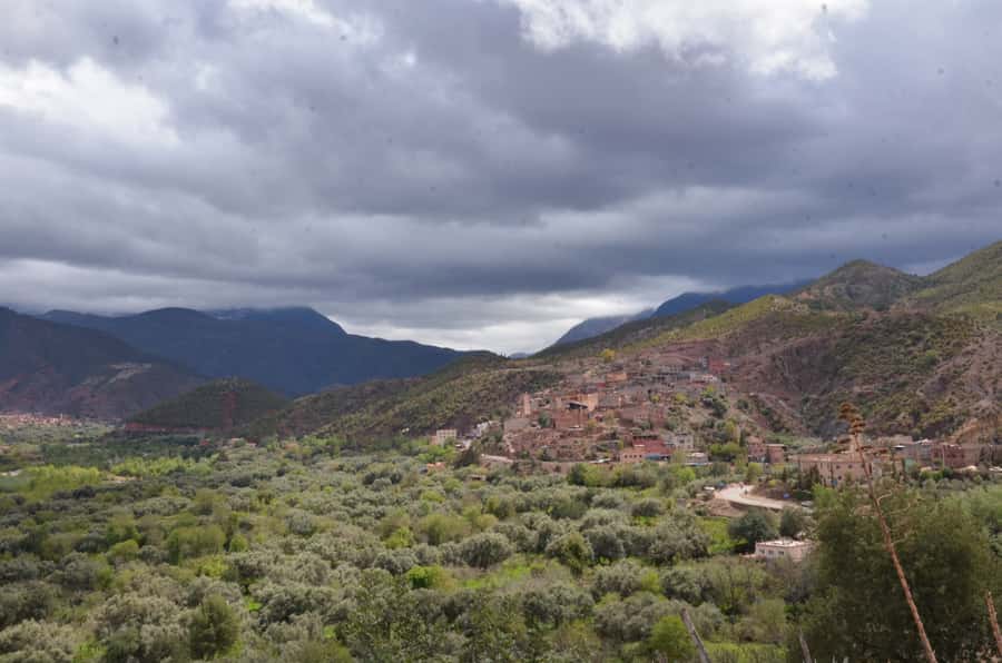 From Marrakech: Ourika Valley Day Trip with Lunch - Lunch in a Berber Home, Mint Tea, and Why the Meal Is the Best Part to Slow Down For