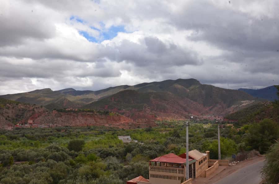 From Marrakech: Ourika Valley Day Trip with Lunch - The Women’s Argan Oil Co-operative Stop, What You Actually Get From It