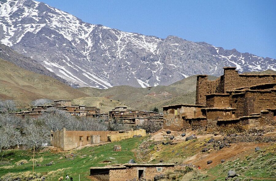 From Marrakech: Ourika Valley Tour with Lunch & Camel Ride - Key highlights worth getting excited about